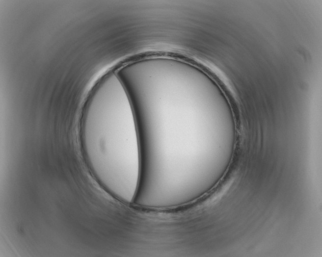 X0000114240783200910091348