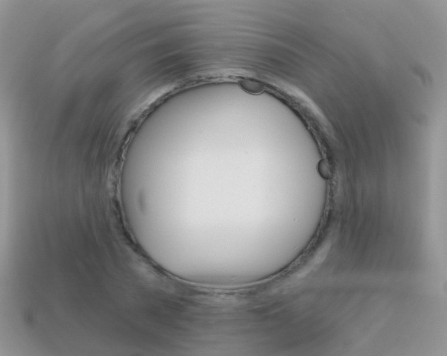 X0000114240785200910091348