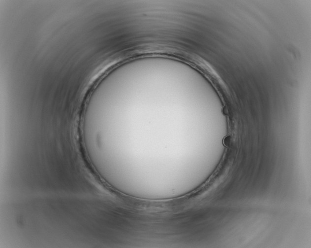 X0000114240786200910091348
