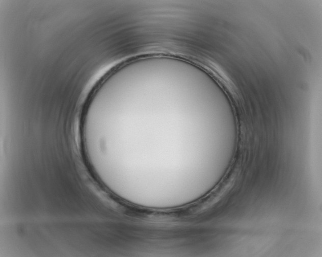 X0000114240788200910091348