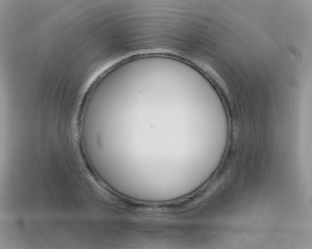 X0000114240789200910091348