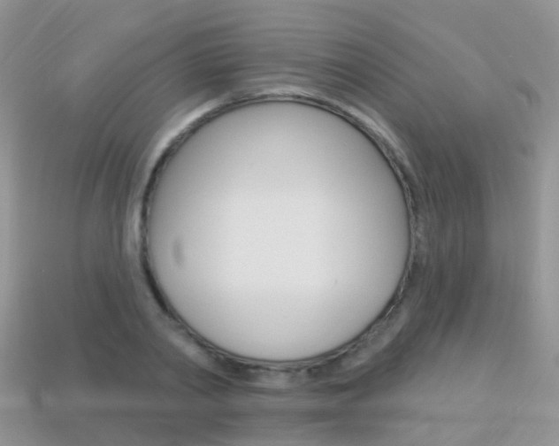 X0000114240790200910091348