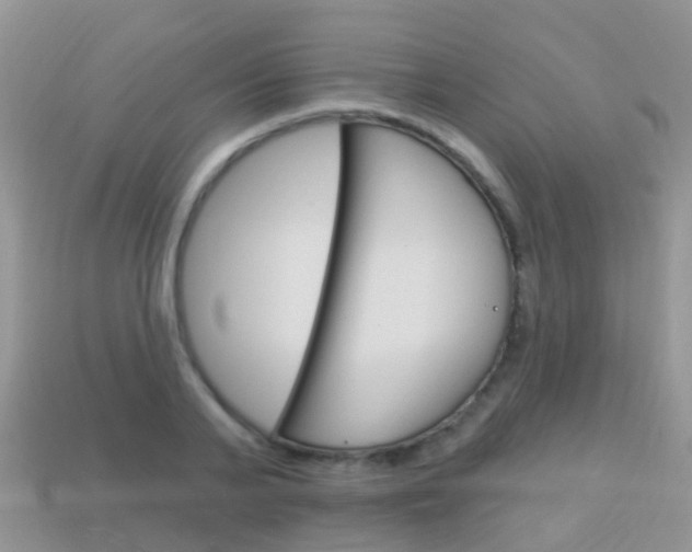 X0000114240791200910091348