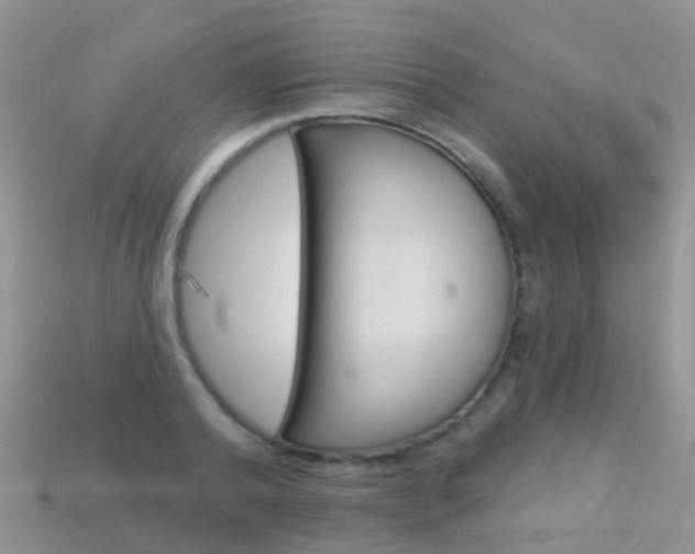 X0000114240792200910091348
