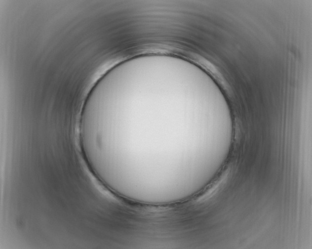 X0000114240802200910091348
