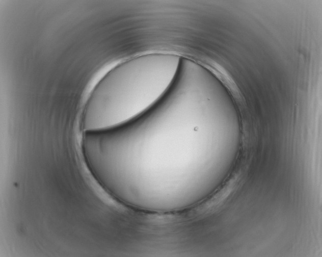 X0000114240804200910091348