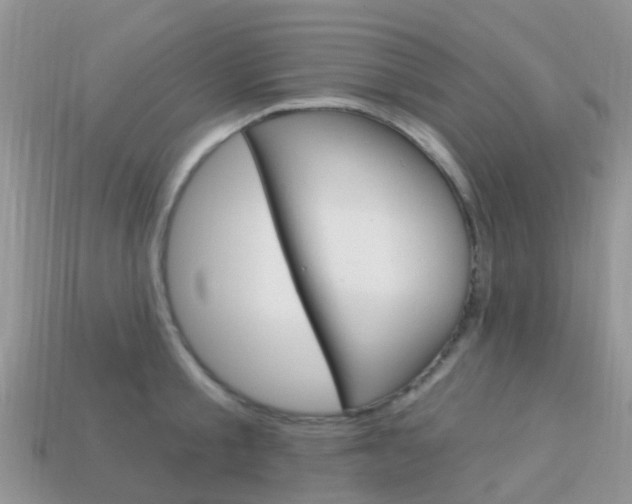 X0000114240805200910091348