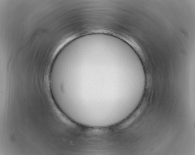 X0000114240806200910091348