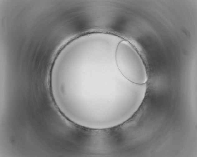 X0000114240807200910091348