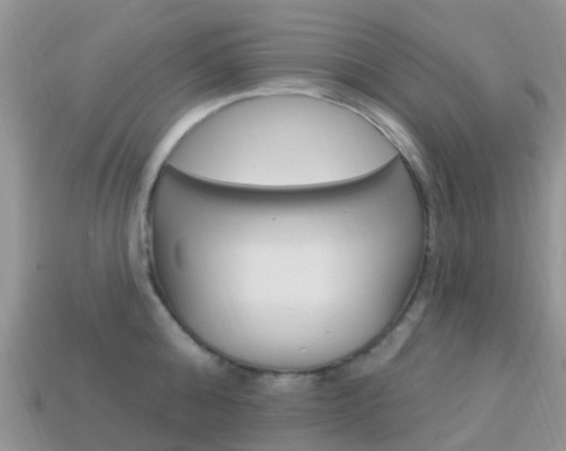 X0000114240808200910091348