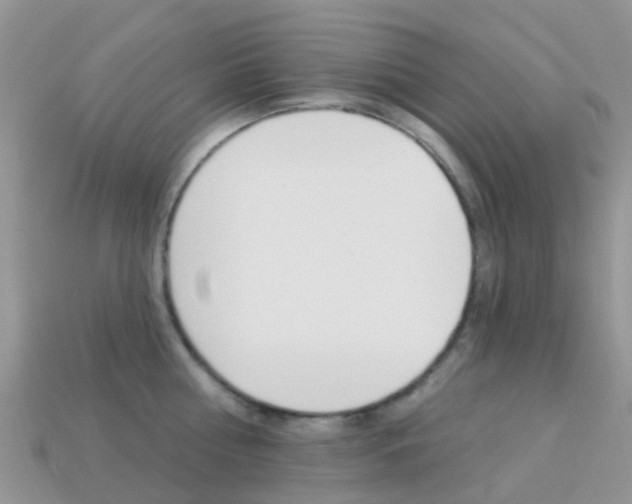 X0000114240810200910091348