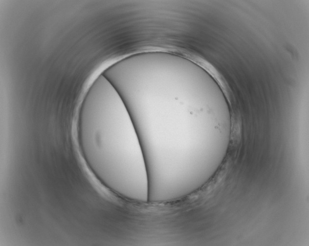 X0000114240811200910091348