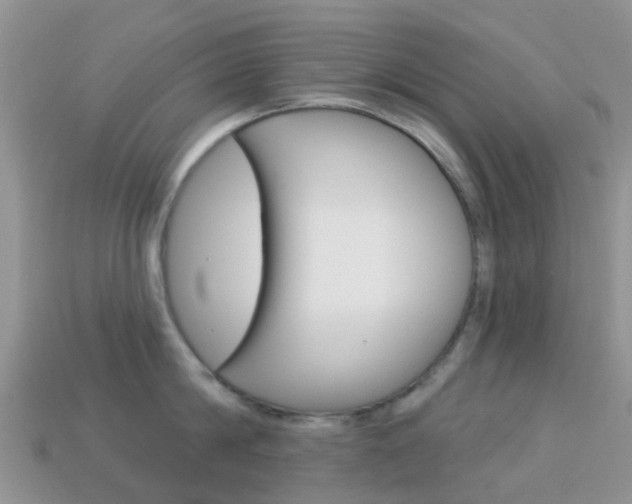 X0000114240814200910091347