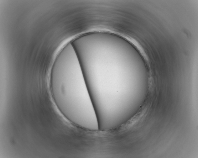 X0000114240815200910091347