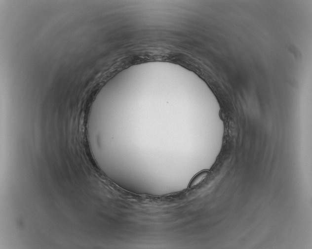 X0000114240818200910091347
