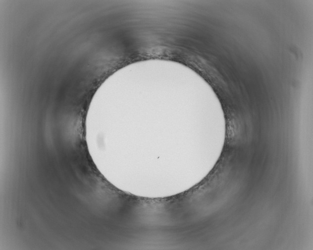 X0000114240820200910091347