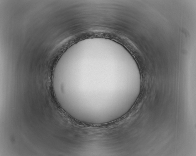 X0000114240821200910091347