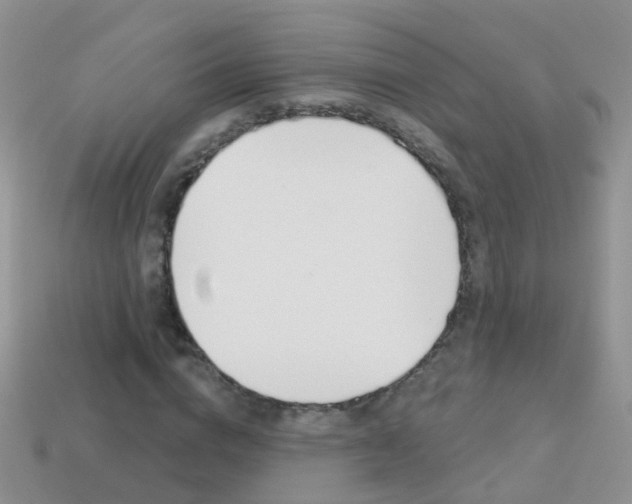 X0000114240824200910091347