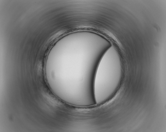 X0000114240825200910091347