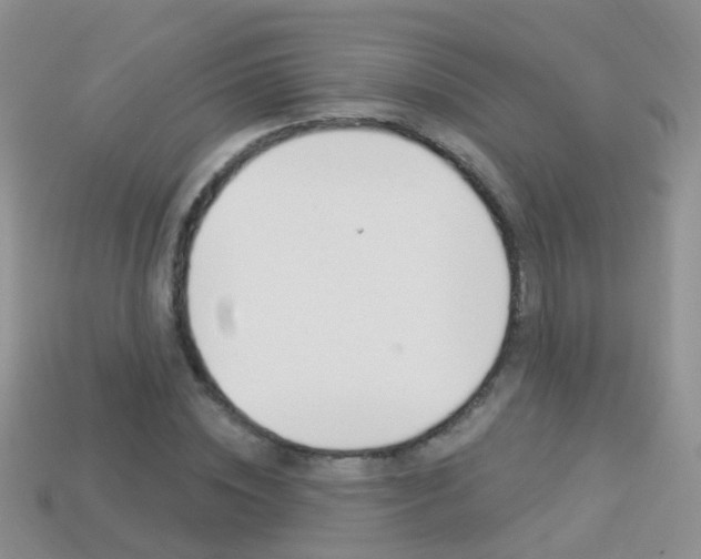 X0000114240828200910091347