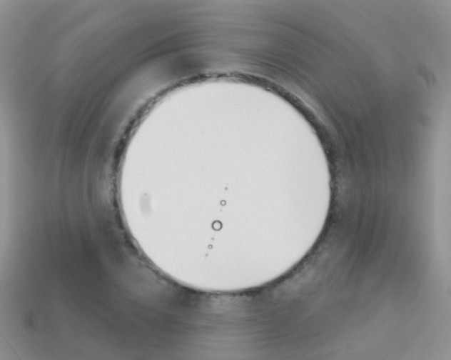 X0000114240832200910091347
