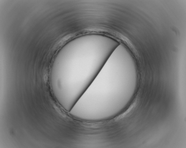 X0000114240833200910091347