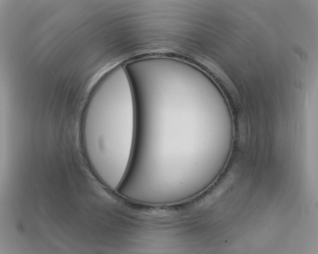 X0000114240834200910091347