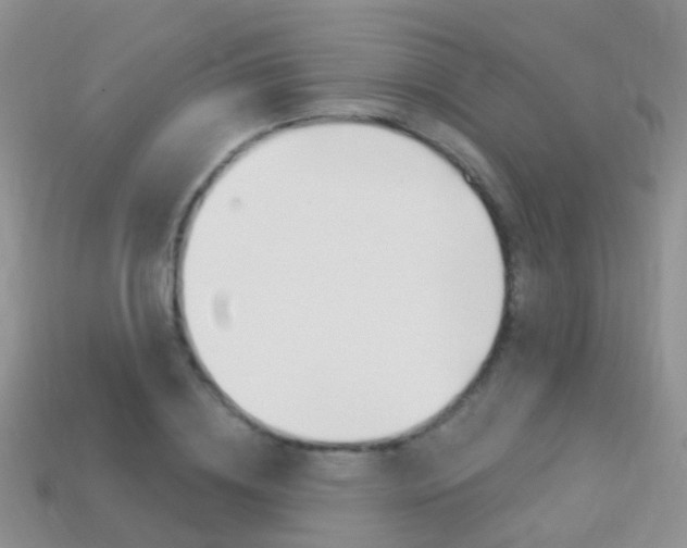 X0000114240836200910091347