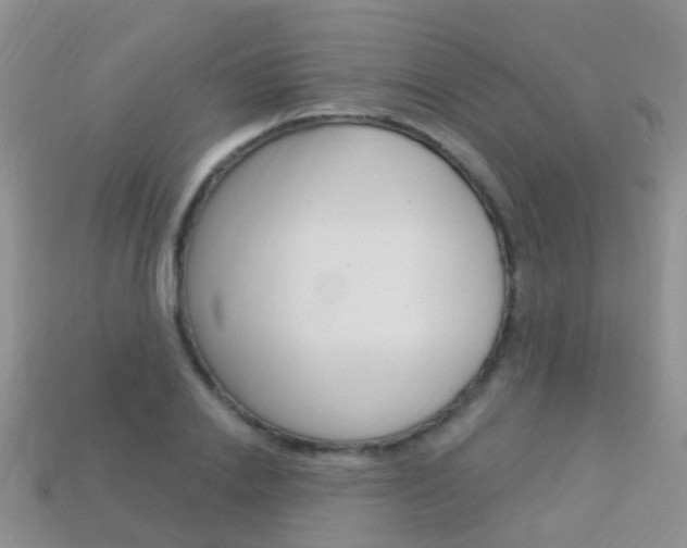 X0000114240838200910091347