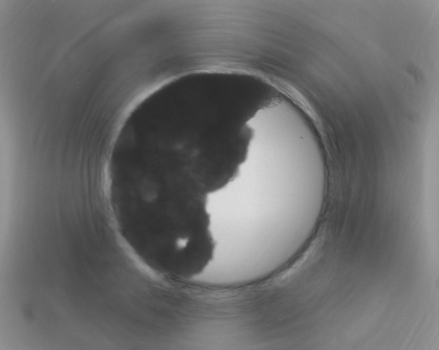X0000114240839200910091347