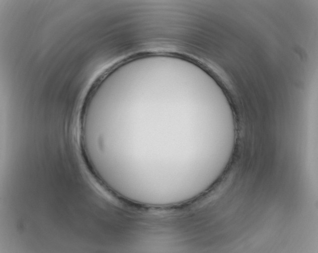 X0000114240840200910091347
