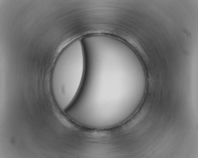 X0000114240842200910091347
