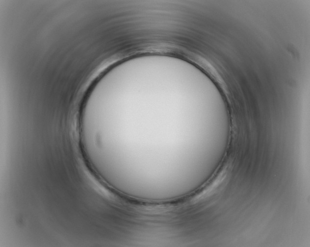 X0000114240843200910091347