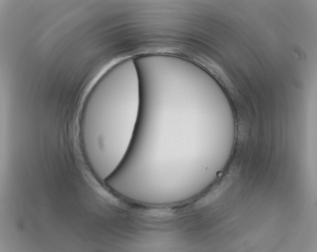 X0000114240844200910091347