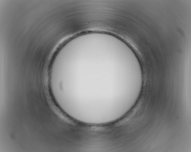 X0000114240848200910091347