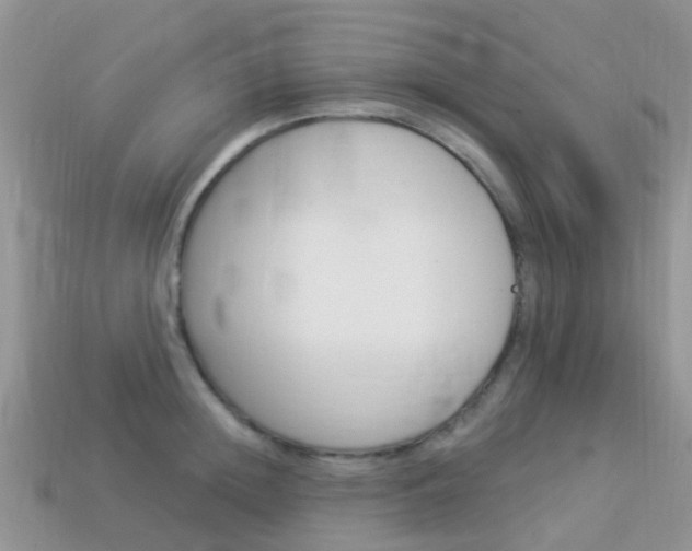X0000114240852200910091347