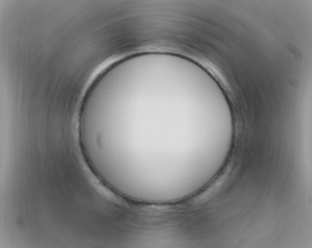 X0000114240854200910091347