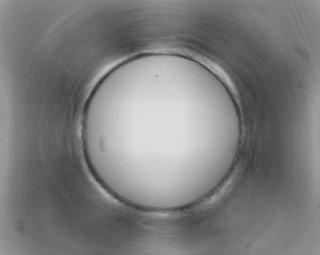 X0000114240855200910091347