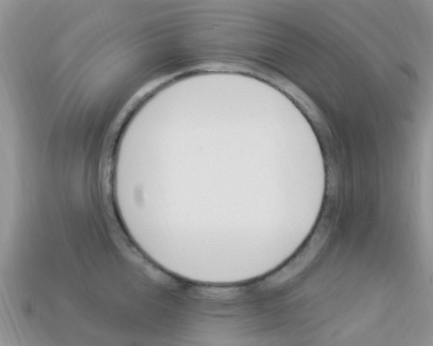 X0000114240856200910091347