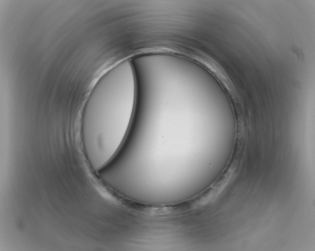 X0000114240858200910091347