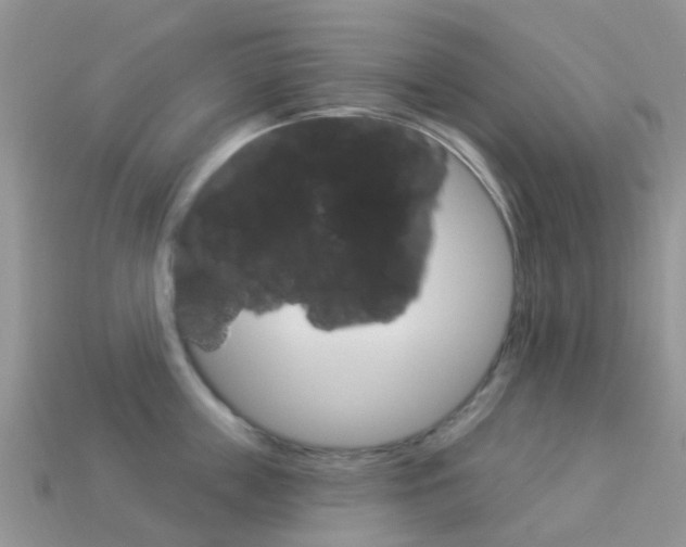 X0000114240859200910091347
