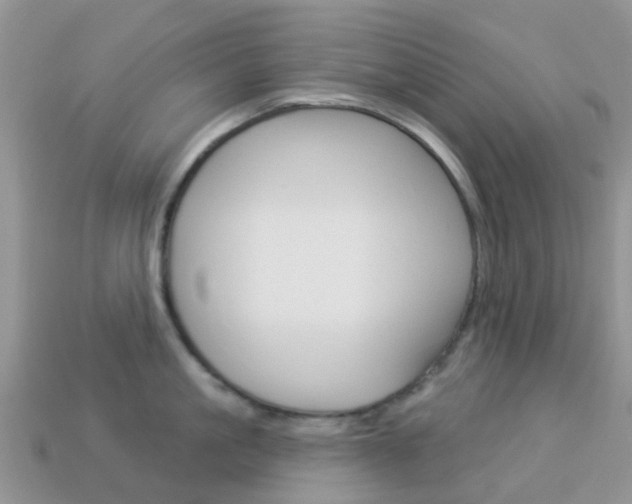 X0000114240861200910091347