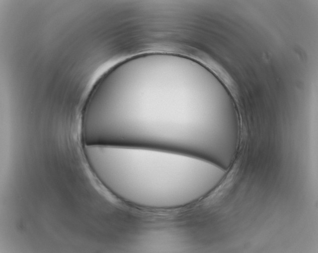 X0000114240862200910091347