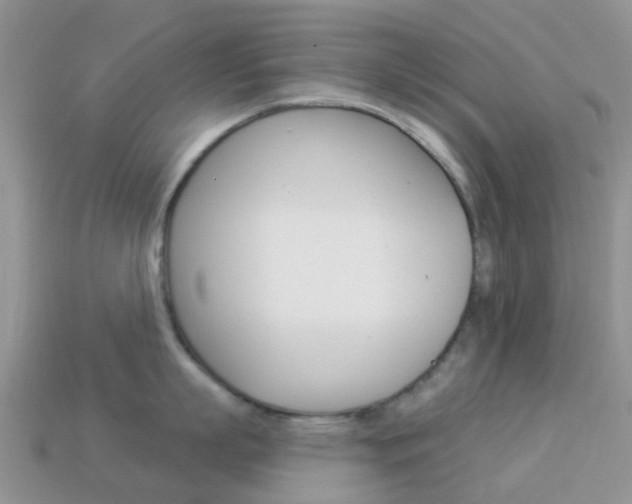 X0000114240863200910091347