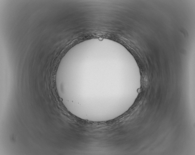 X0000114240865200910091347