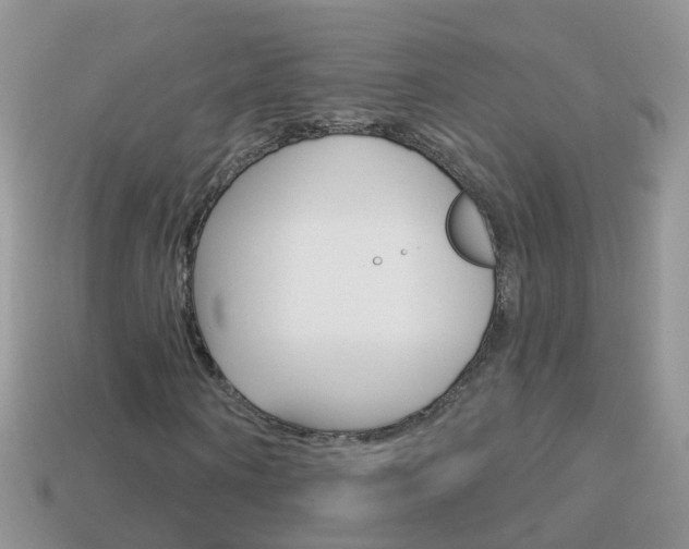 X0000114240866200910091347