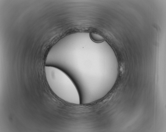 X0000114240867200910091347