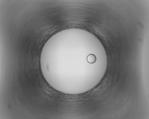 X0000114240868200910091347