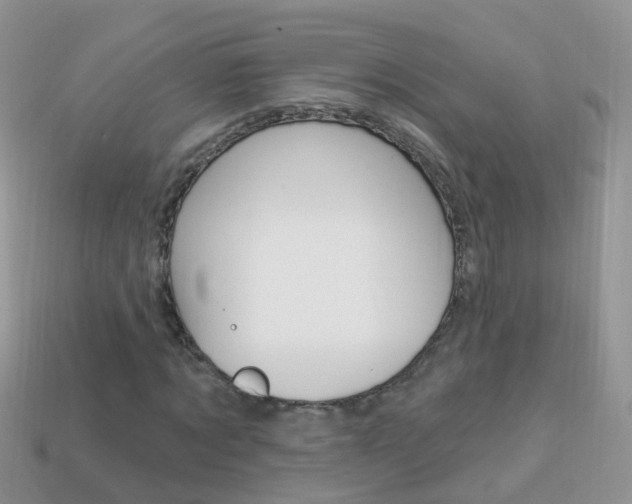 X0000114240869200910091347