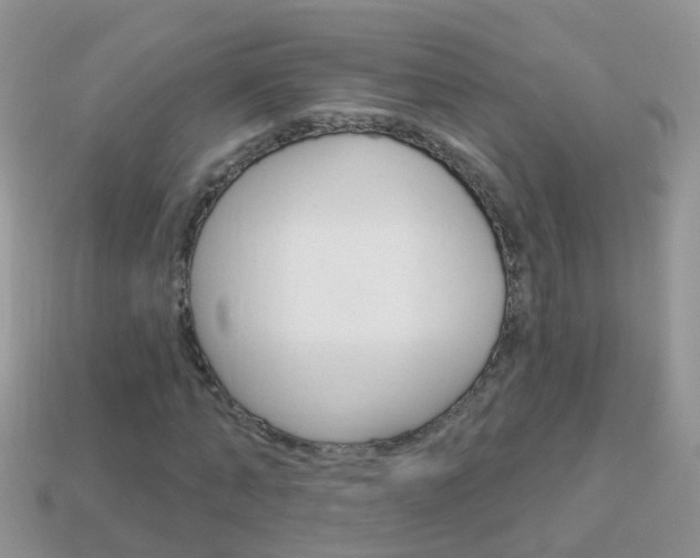 X0000114240870200910091347